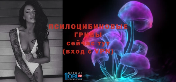 ешки Алзамай