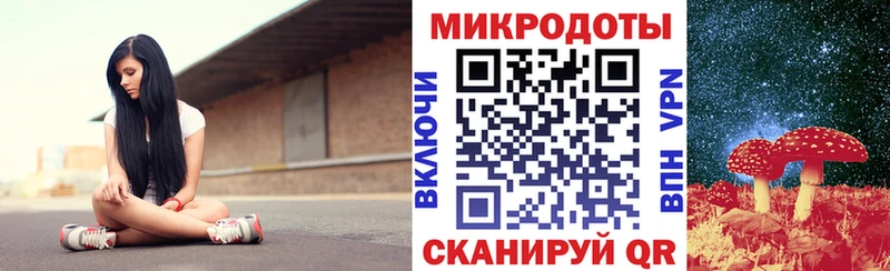МЕГА вход  купить закладку  Николаевск  Галлюциногенные грибы Cubensis 